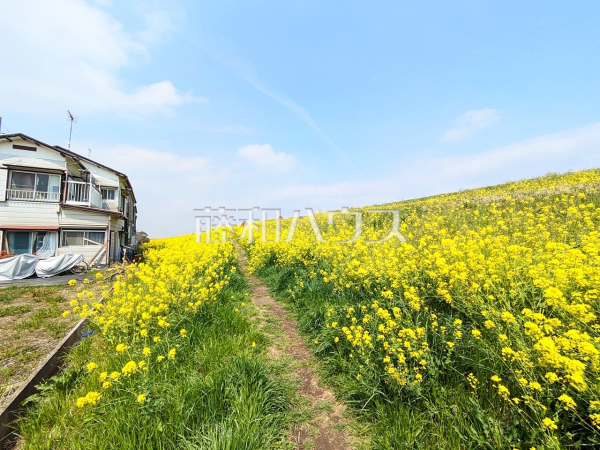 近隣の風景 【志木市中宗岡2丁目】 近隣の風景 【志木市中宗岡2丁目】