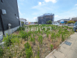 現地写真 【小牧市藤島町居屋敷】 現地写真 【小牧市藤島町居屋敷】