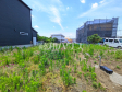 現地写真 【小牧市藤島町居屋敷】 現地写真 【小牧市藤島町居屋敷】