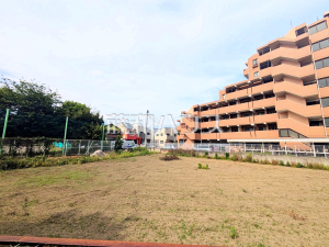 現地写真