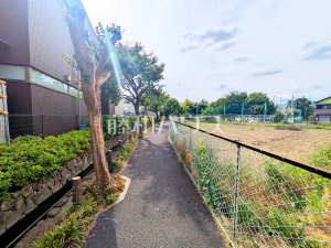 現地写真