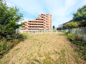 現地写真