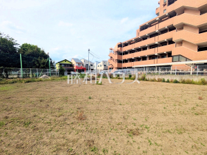 現地写真