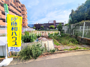 現地写真