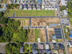 航空写真