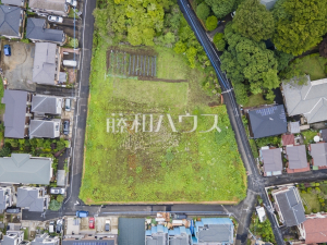 航空写真