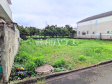 1号地 現地写真 【三鷹市井口4丁目】 1号地 現地写真 【三鷹市井口4丁目】