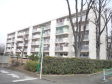 外観 【多摩川住宅ハ-5号棟】 外観 【多摩川住宅ハ-5号棟】
