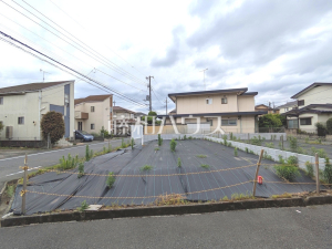 現地写真