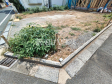 D号棟 現地写真 【西東京市泉町2丁目】 D号棟 現地写真 【西東京市泉町2丁目】