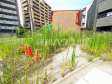 現地写真 【名古屋市北区清水5丁目】 現地写真 【名古屋市北区清水5丁目】