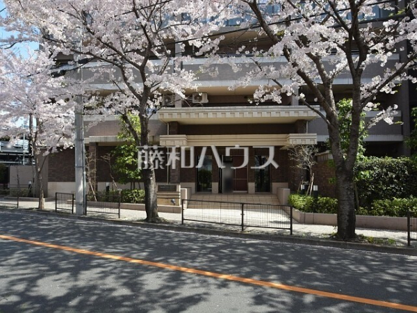 エントランス 【ナイスパークステイツ吉祥寺サウスコート】 エントランス 【ナイスパークステイツ吉祥寺サウスコート】