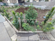 現地写真 【西東京市泉町5丁目】 現地写真 【西東京市泉町5丁目】