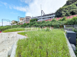 2号地 現地写真 【日野市三沢3丁目】 2号地 現地写真 【日野市三沢3丁目】