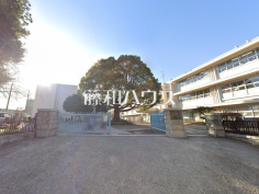 所沢市立清進小学校 所沢市立清進小学校