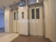 エントランス 【高円寺サンハイツ】 エントランス 【高円寺サンハイツ】