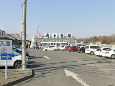 角上魚類所沢店 角上魚類所沢店