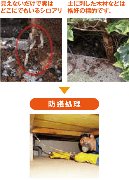 見えないだけで実はどこにでもいるシロアリ 土に刺した木材などは格好の標的です 防蟻処理